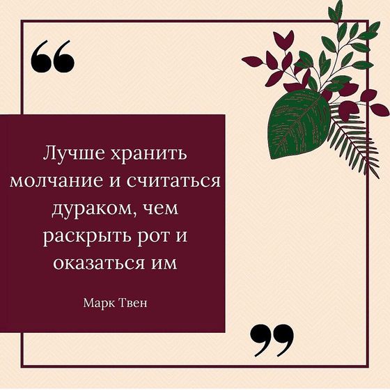 Цитата дня