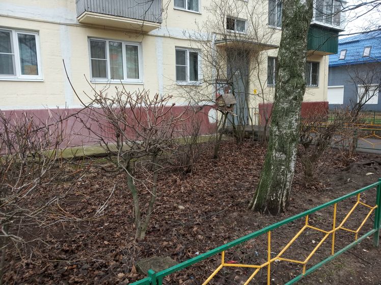 Как облагородить палисадник перед домом?