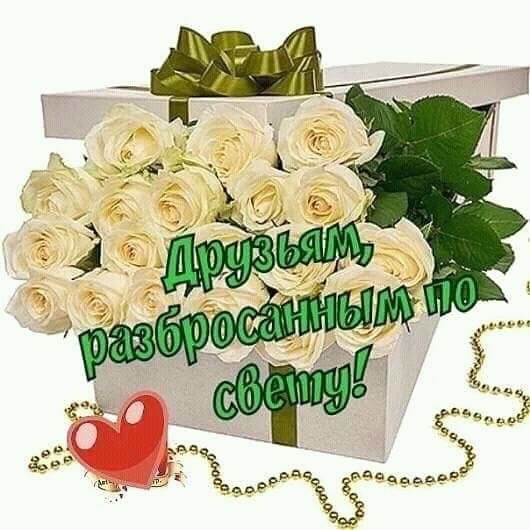 Друзьям 💐