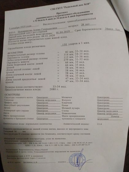 Маловестный плод Нам по