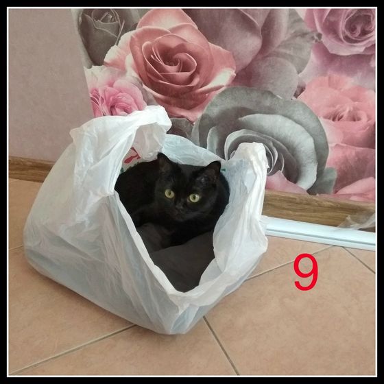 Конкурс 2 