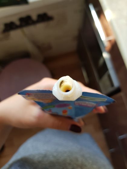 Фруто няня.