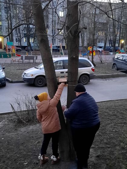 "Марсианская зима"