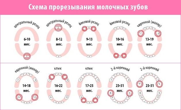 Зубы атакуют!?