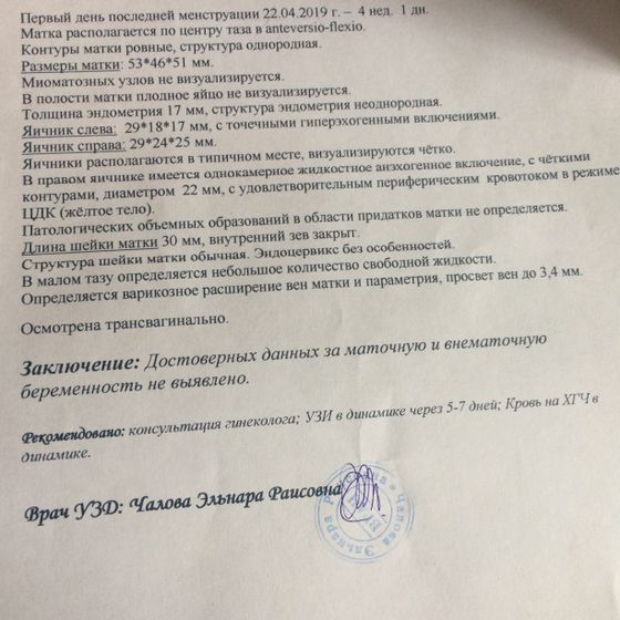 Вот заключение, что скажете?