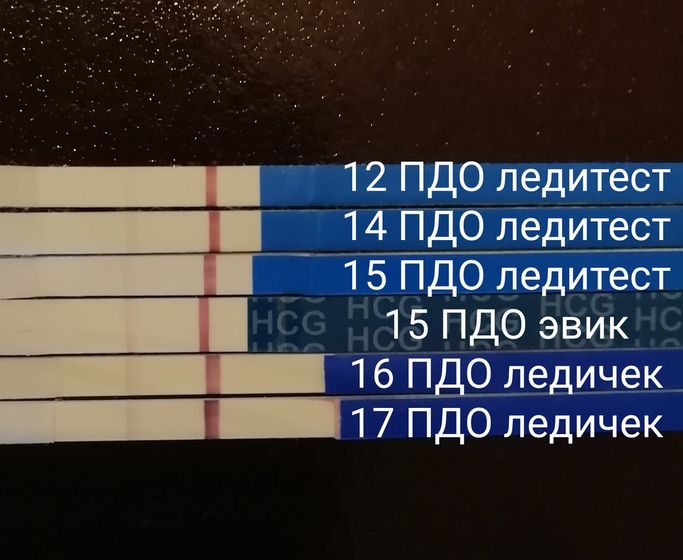 Девочки, мне кажется очень