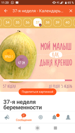 Какой вес на УЗИ