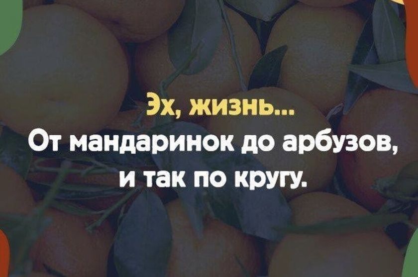 О жизни