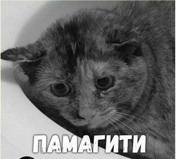 Подругам