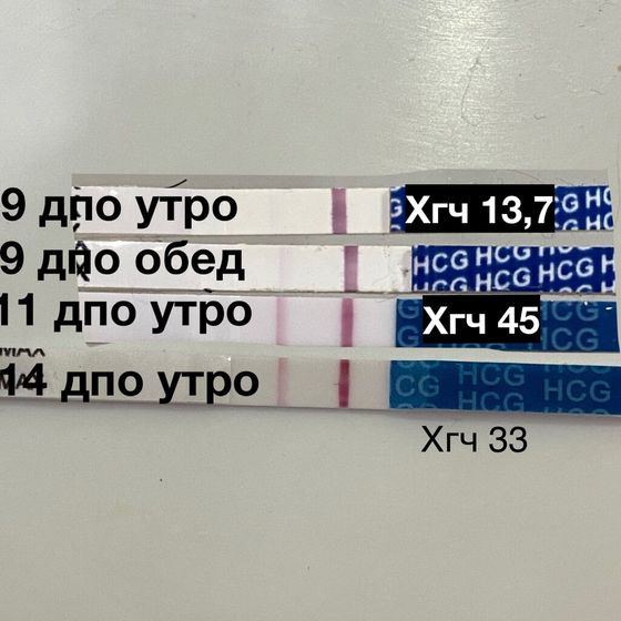 Случилась биохимическая беременность. 14 дпо-33...