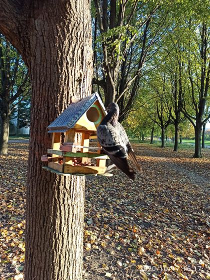 Наша осень🍁🍂🍁