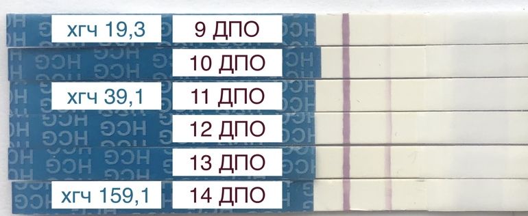 Динамика, тесты