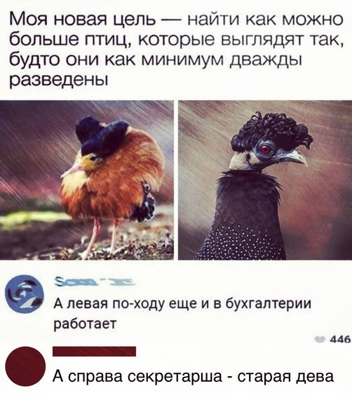 ?