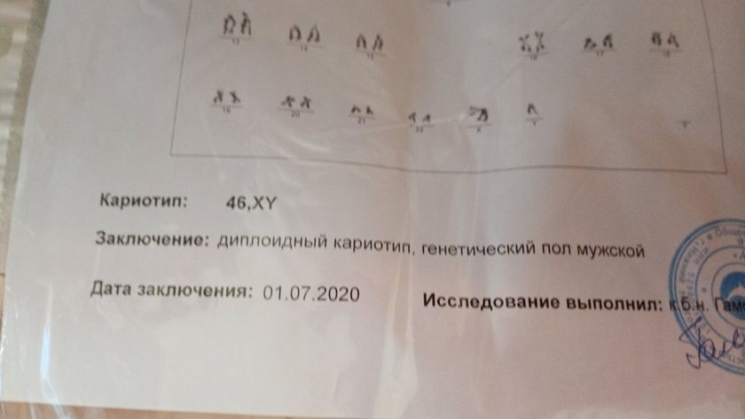 Заключение генетика