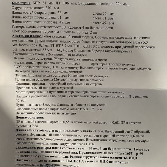 Узи 30 недель