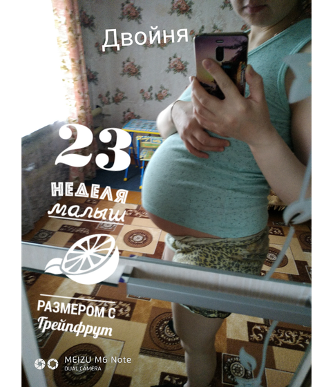 24 ая неделя моно ди двойня