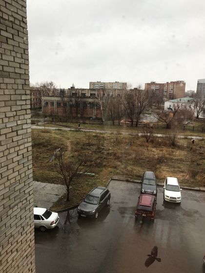 Вы бы отпустили?