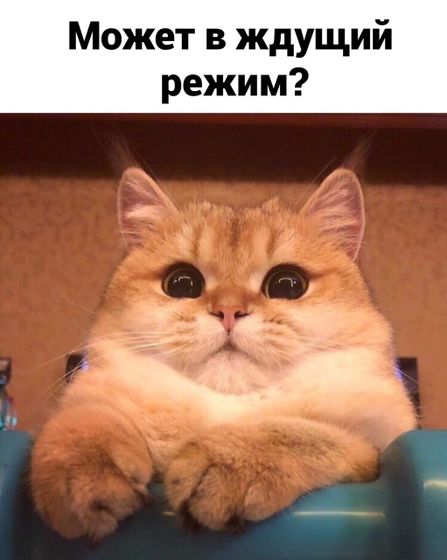Фотография 2020-10-19 17:16:20