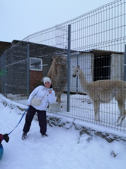 Выходные на Зооферме в Шихово