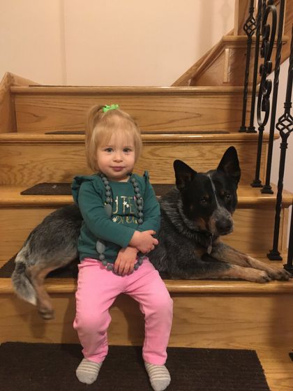 Мои любимые шуршалки ❤️