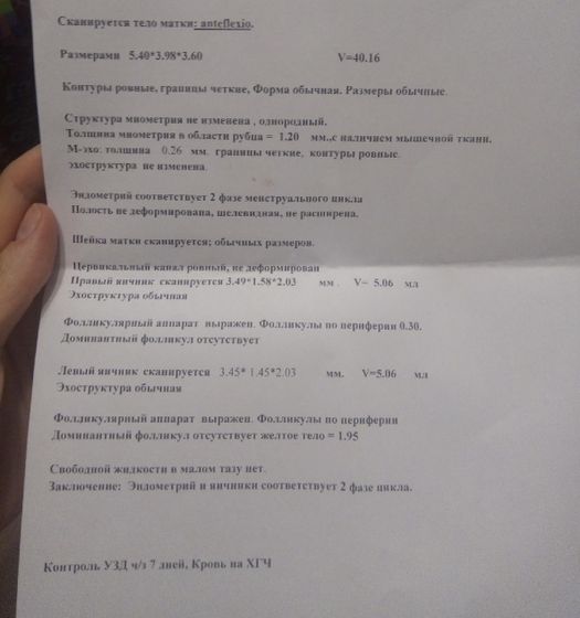УЗИ в 1день задержки
