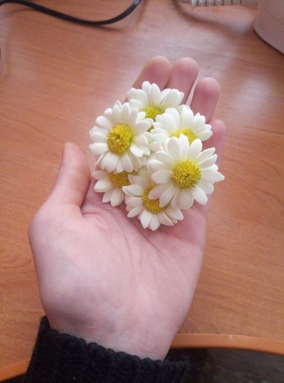 Чем я занимаюсь в