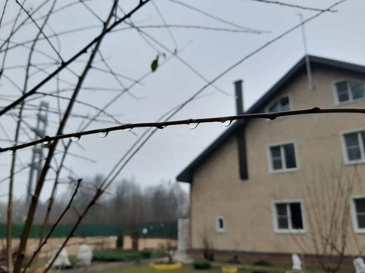 Не для бабушек рожала. Материнский эгоизм