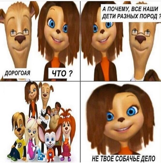 Не твоё собачье дело!