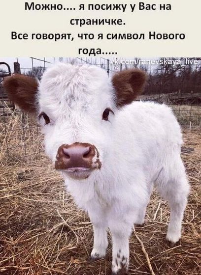 Новый год, скоро к нам придёт))