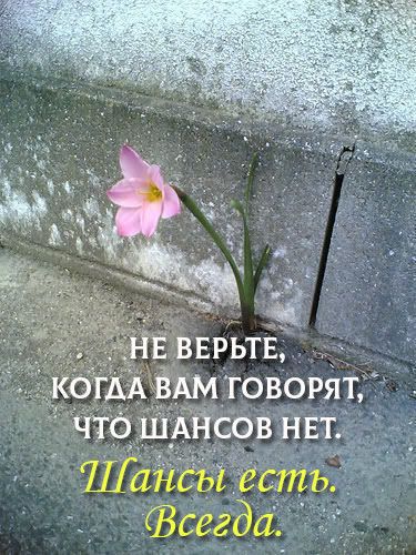 Шанс есть всегда )