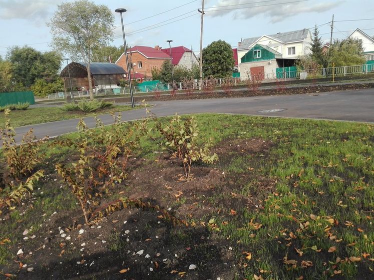 Поделиться радостью)