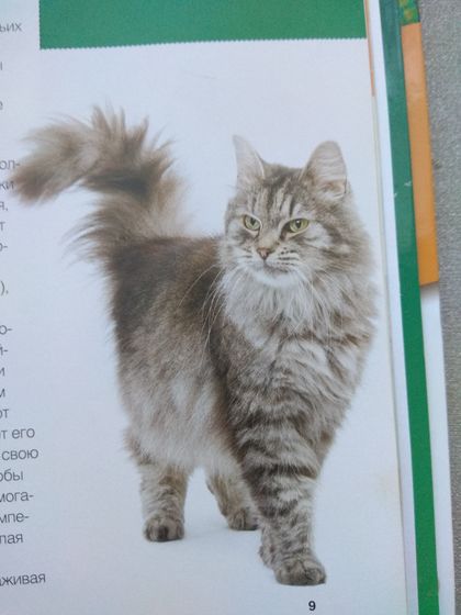Кто знает, что за