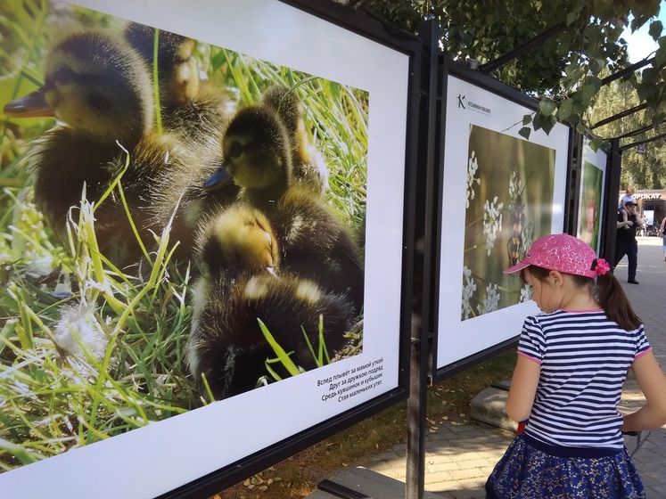 День Российского флага в парке Кузьминки. (22.08.20)