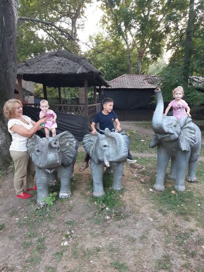 Совсем недавно принесли кроху