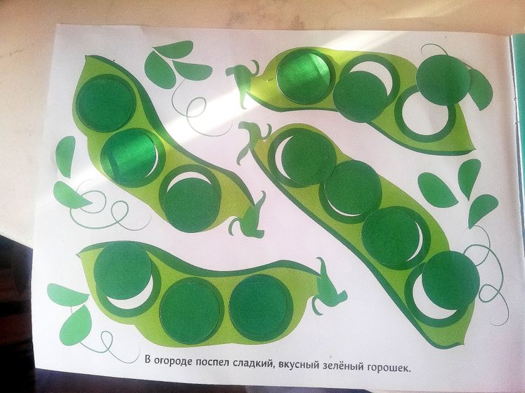 ЗПР. Что дальше?