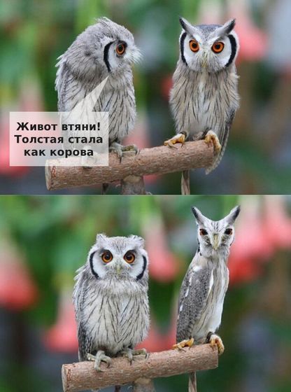 Как убрать пузо, очень надо влезть в платье!?