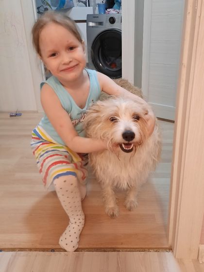 Таки завели собаку!