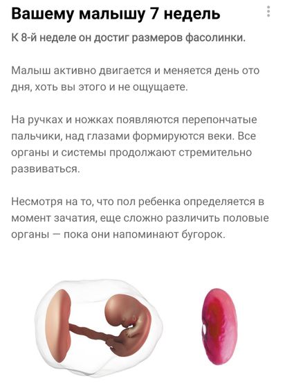Привет, 8ая неделька ?