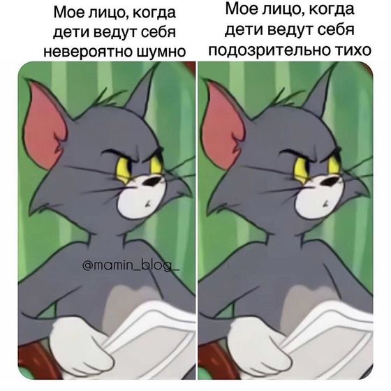 🤣🤣🤣