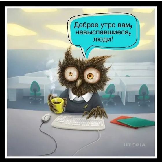 Доброе утро! пасмурно и холодно