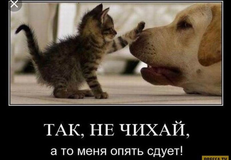 А как чихают ваши детки?