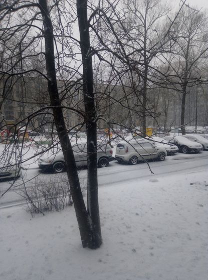 Ну, дождались...