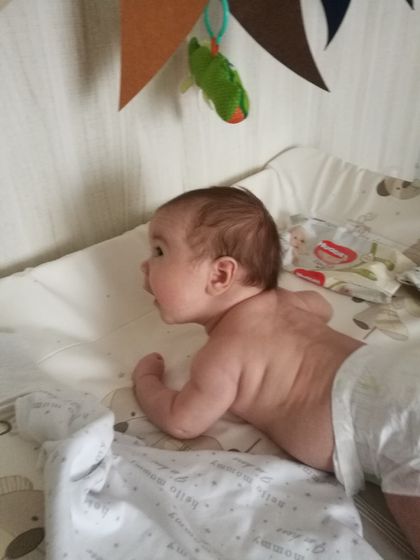 Ленивая попка