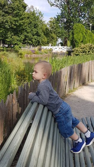 Беарн. Ч.1. По