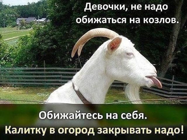 Фотография 2020-07-23 18:09:45