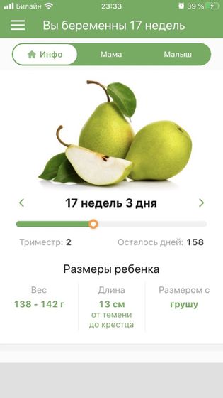 Груша