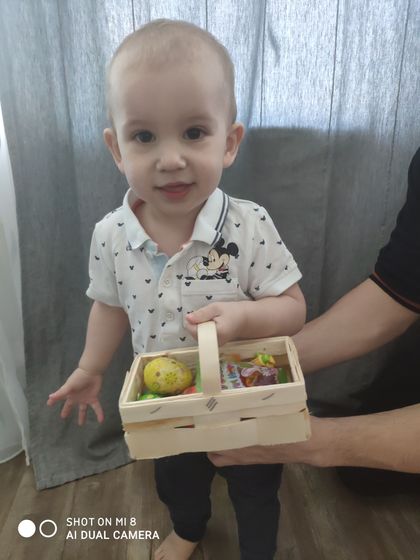 О собаках