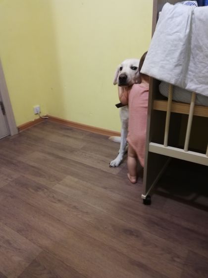 Не хочет переодеваться))
