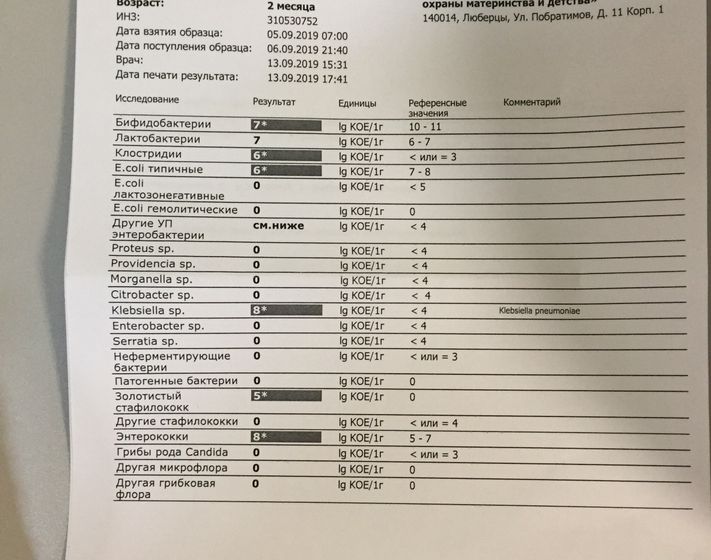 Анализ на дисбактериоз