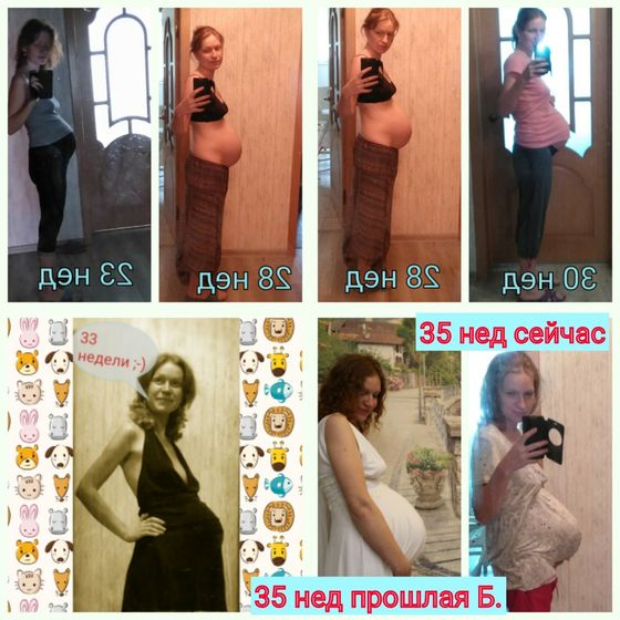 Как считаете, про живот
